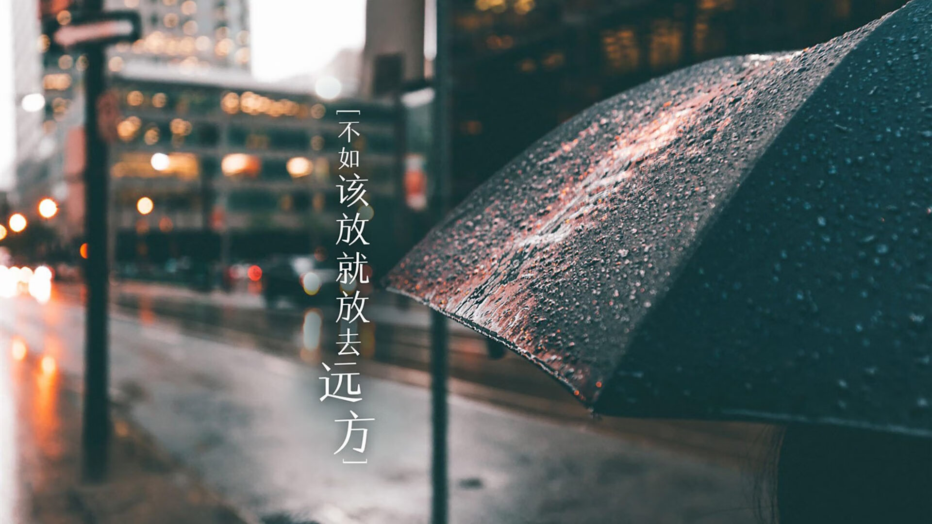 围场哲学，当经验击穿速度，阿隆索如何带雷诺力克哈斯