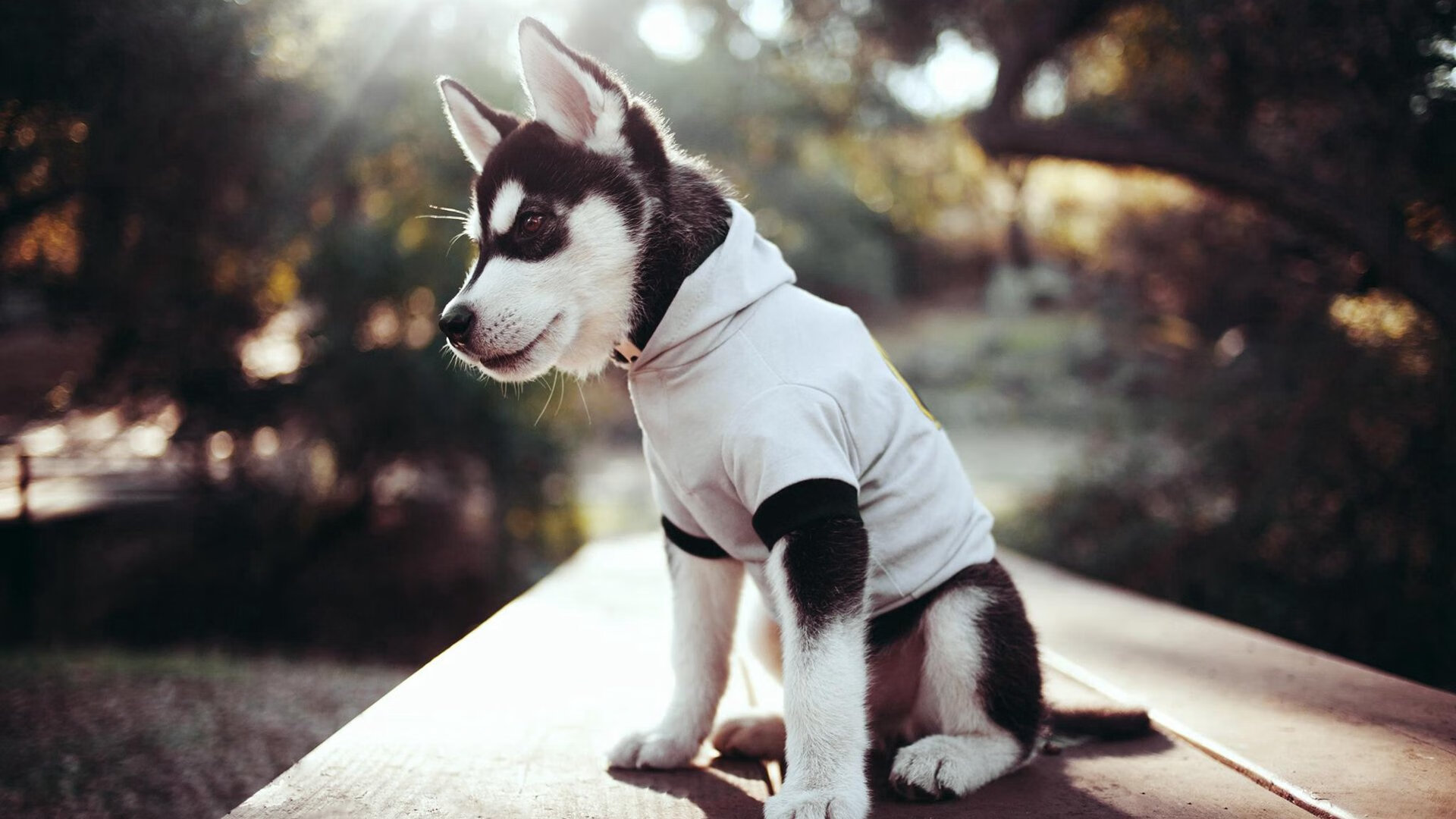 马刺粉碎热火背后，一场改写未来篮球定义的革命