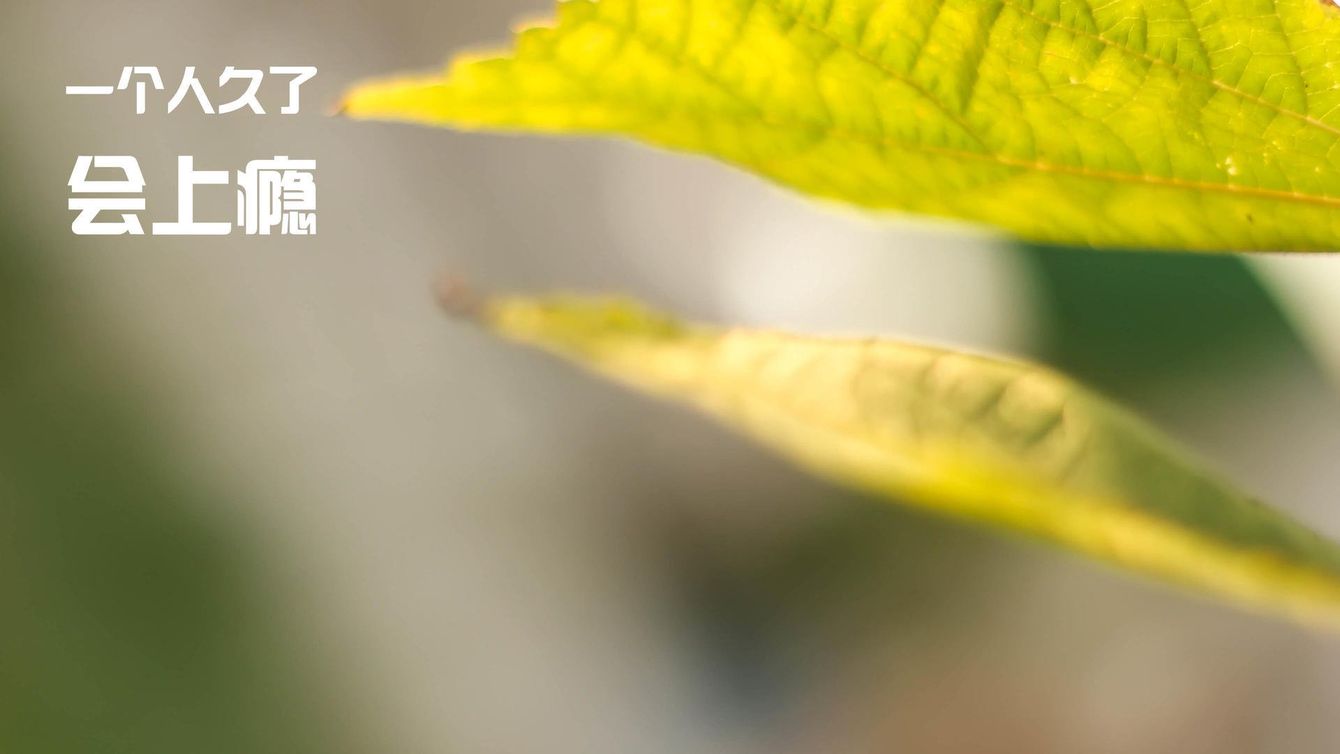 双星闪耀时，当伊蒂哈德屏息等待，克莱的三分雨正改写历史