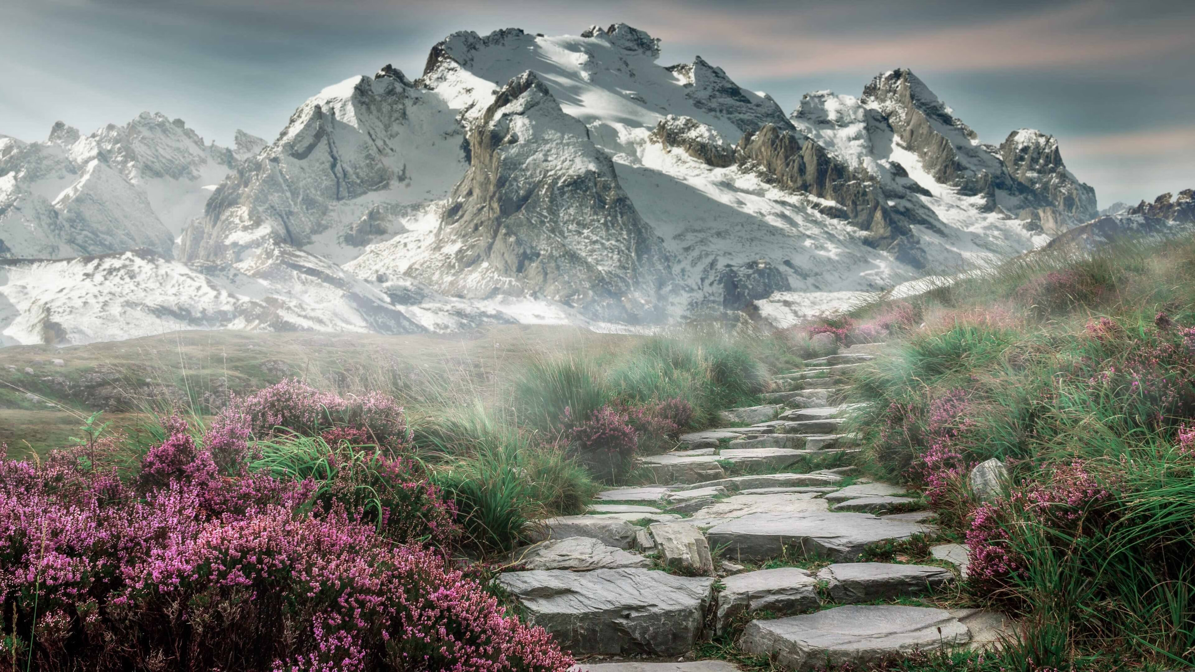 班凯罗，从沉默到统治，他用41分把必须赢焊在肩上