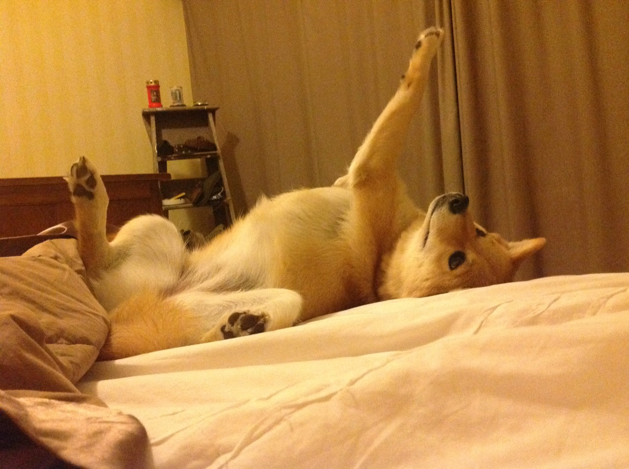 班凯罗，从沉默到统治，他用41分把必须赢焊在肩上