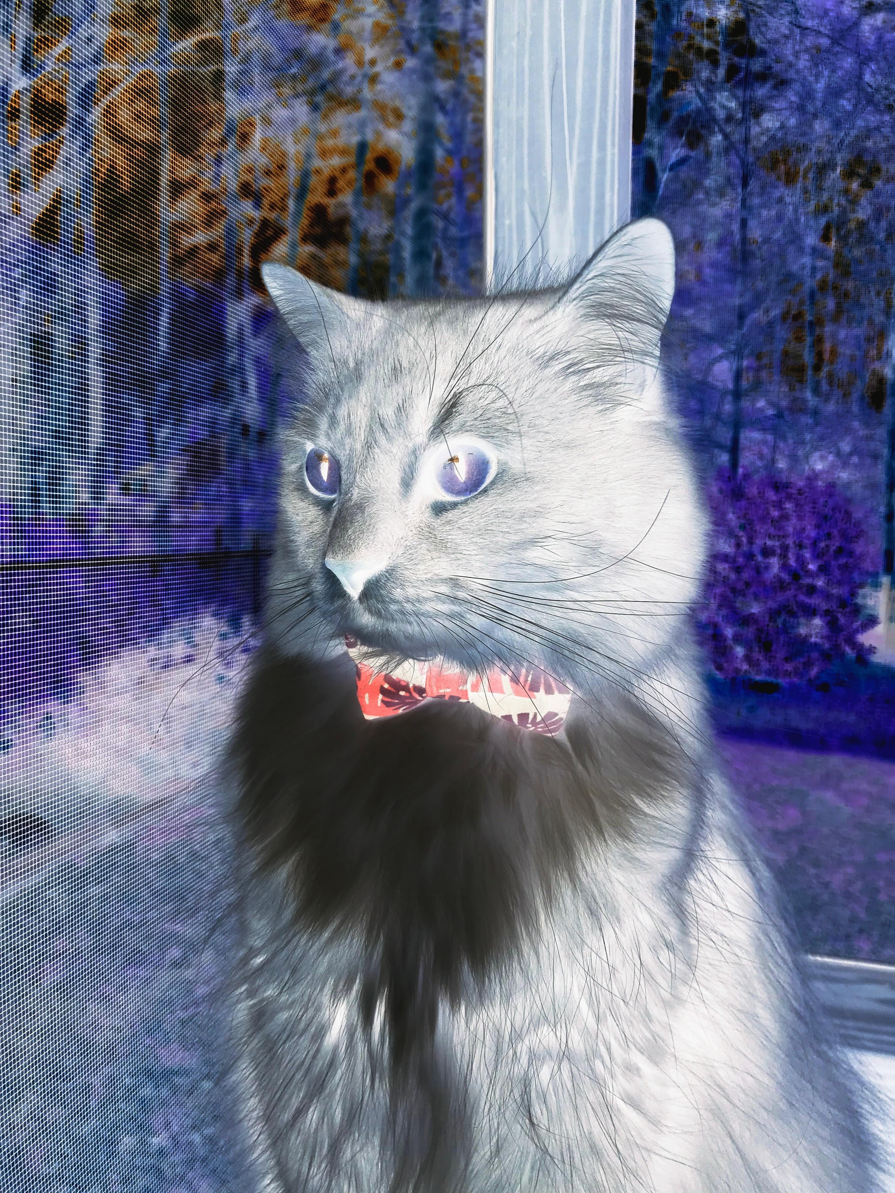 错位的时空，当马赛遭遇牙买加，皮克用封堵证明不朽