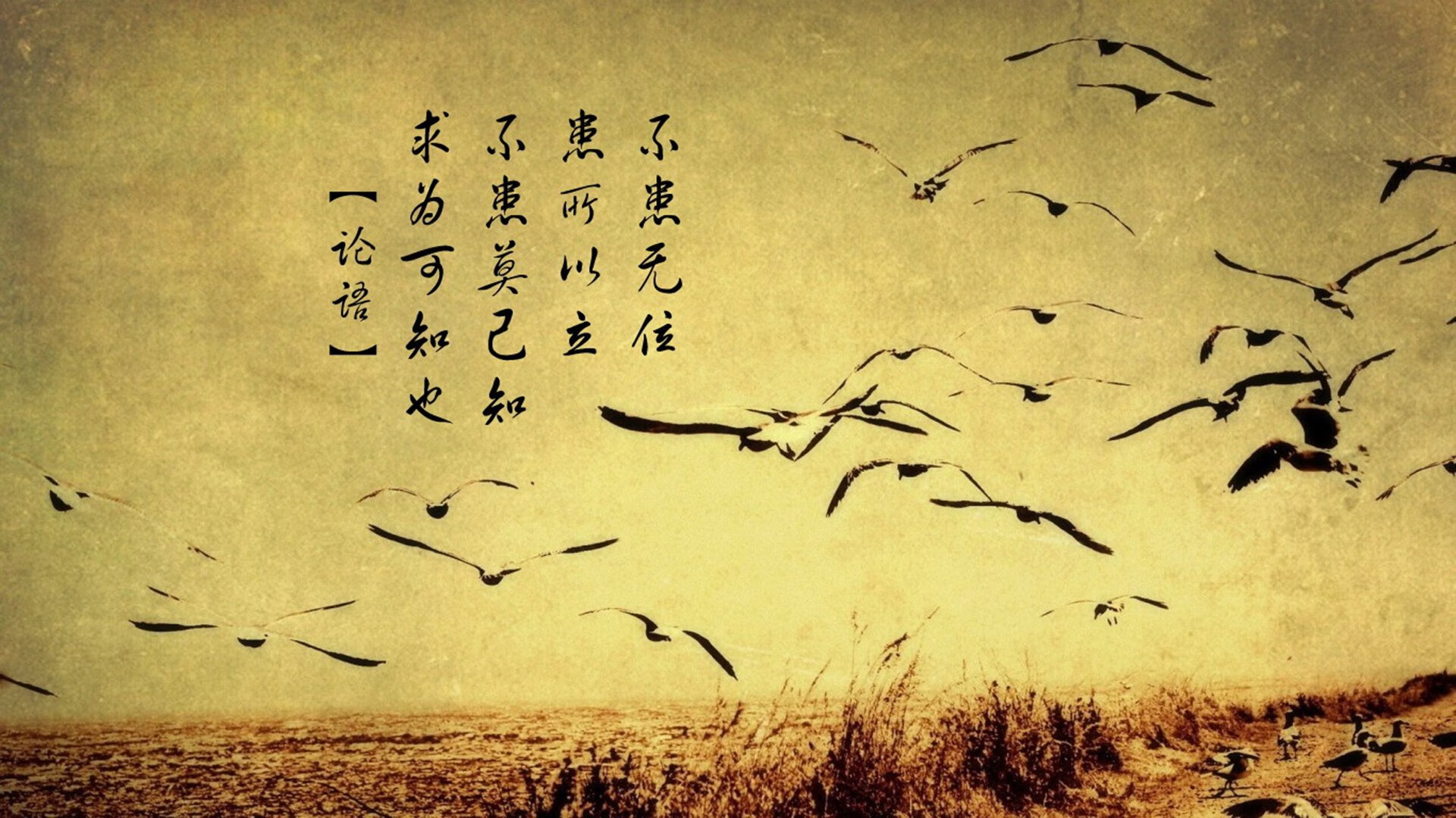 双城记，曼彻斯特的钢铁纪律与巴塞罗那的魔法瞬间