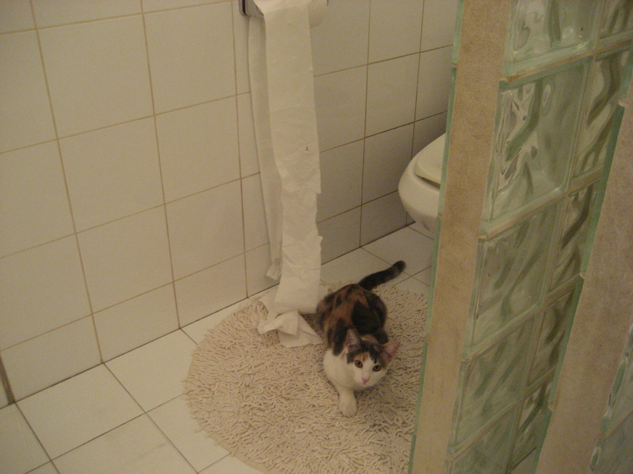 欧洲足坛的硬仗艺术，卡瓦哈尔的刚韧与那不勒斯的战术完胜