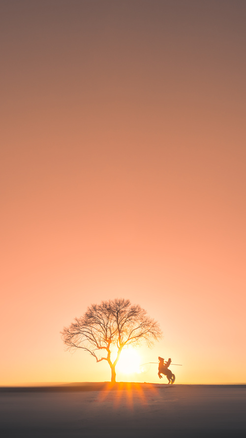 他如F1赛车般划过午夜球场,文班亚马在街道赛之夜主宰胜负方程式