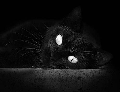 一，拉文50分天神下凡难救主！步行者加时鏖战降黄蜂二，个人英雄主义与团队胜利的对话，拉文封神之夜不敌步行者加时坚韧