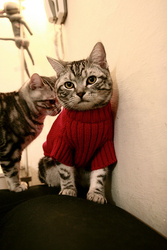 爱游戏下载-扩展思维后的文章标题