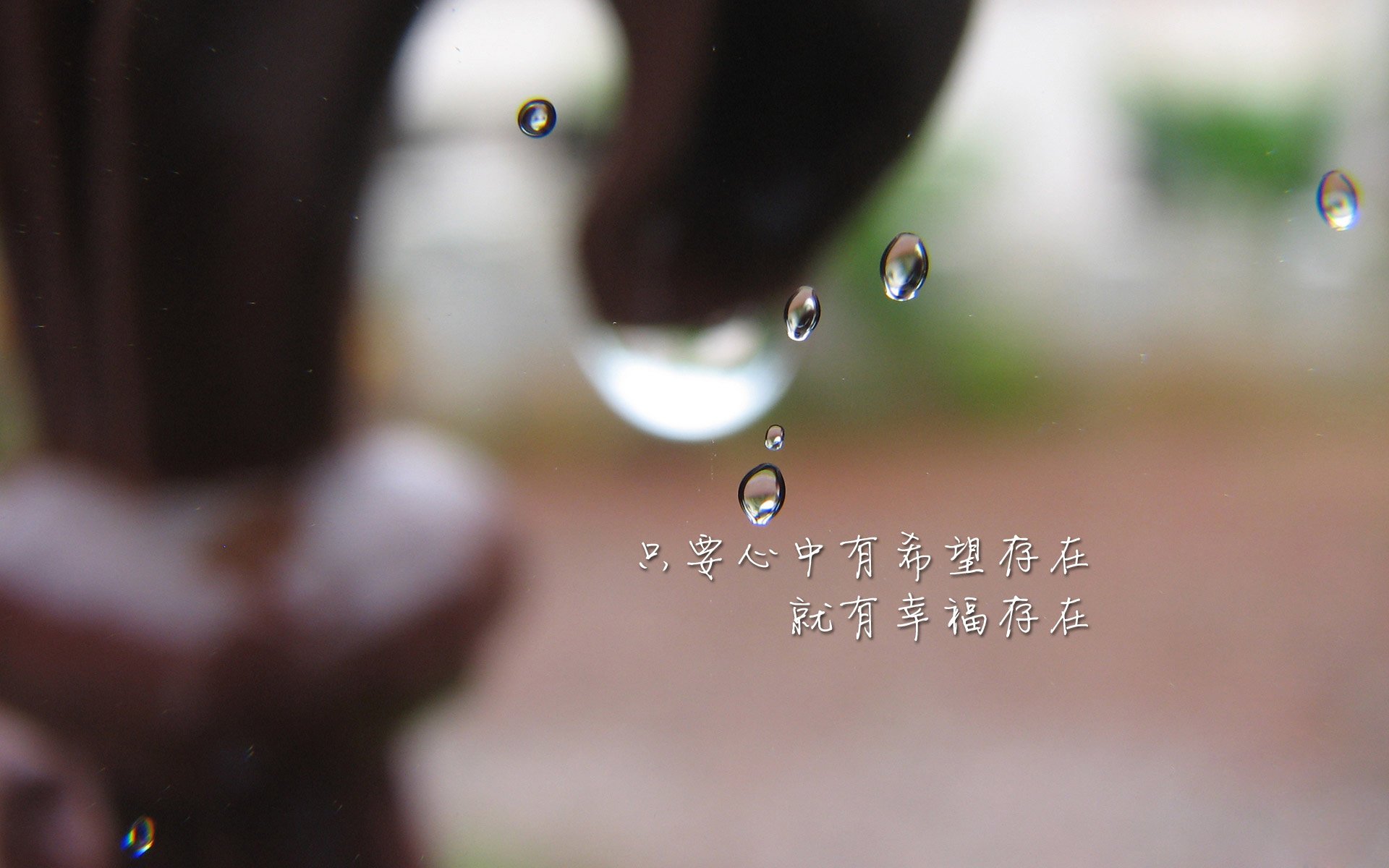 东方风暴席卷安联,2026世界杯F组,泰国足球的史诗之夜