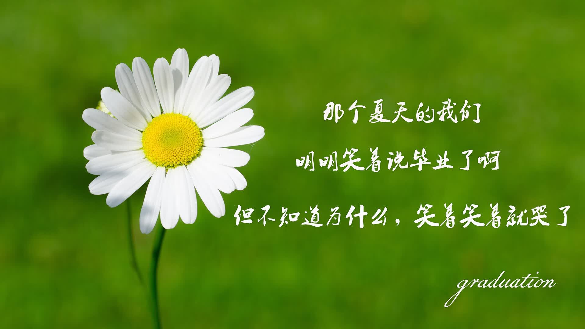 最后十分钟，当保加利亚在2026世界杯淘汰赛中颠覆世界，而福登的光芒穿透所有预言